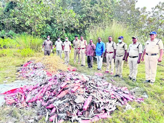 తప్పు చేసిన వారు తప్పించుకోలేరు