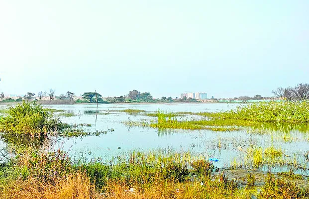 చెరబడుతున్నారు..!