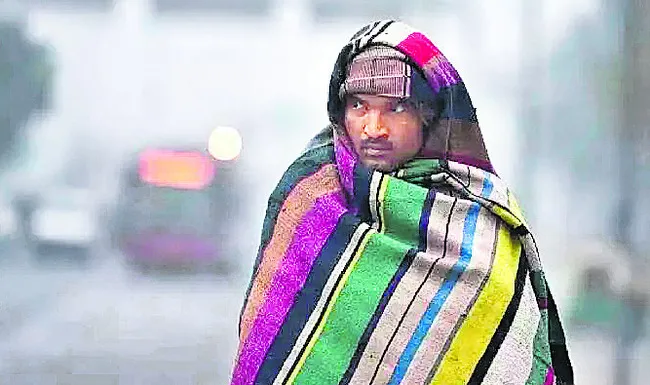 చలి.. పులి