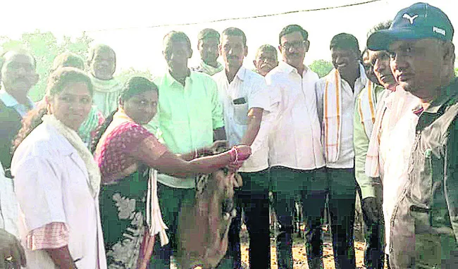 5లక్షల గొర్రెలకు నట్టలమందు