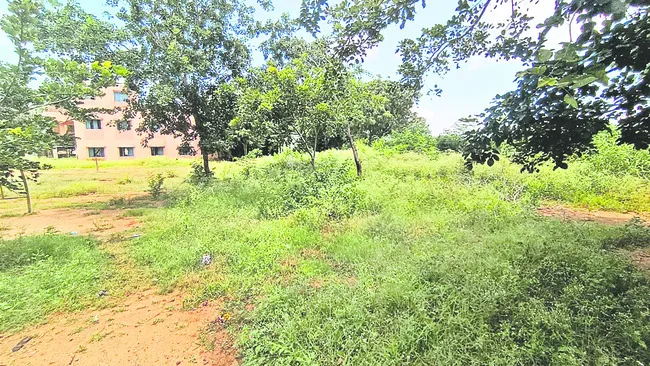 సమస్యలే ఏలు‘బడి’! 