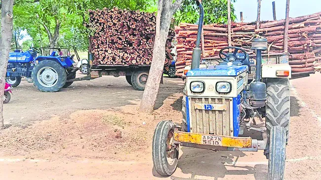 చిల్లకర్ర తరలిస్తున్న ట్రాక్టర్లు సీజ్‌ 
