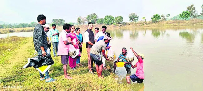అంతా హడావుడే..!