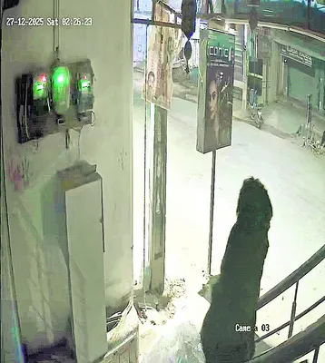 చోరీకి విఫలయత్నం