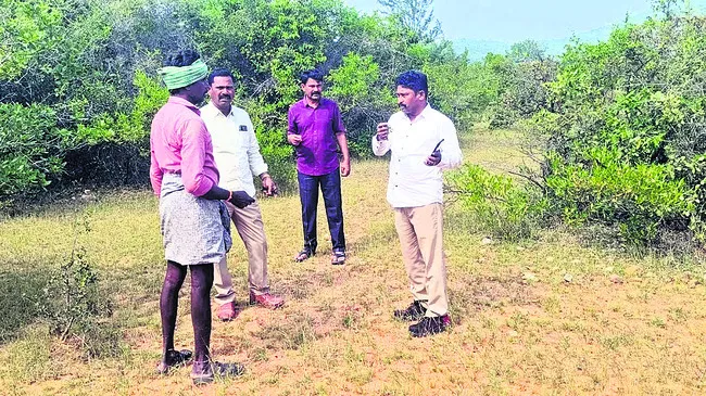 పులి సంచారంపై  గుబులు 