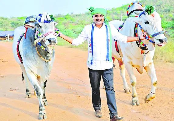 ఎడ్ల పందేల స్థలాన్ని పరిశీలించిన ఎమ్మెల్యే తాటిపర్తి