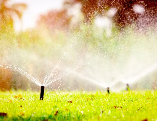 రైతులకు చేరువైన సాంకేతికత, పథకాలు