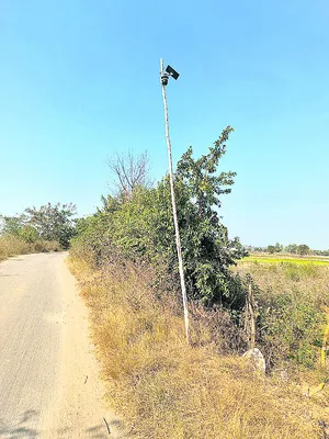 పొలాలకు సెక్యూరిటీ