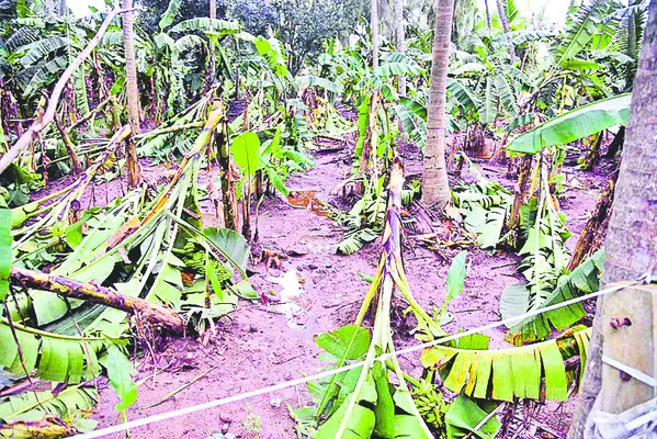 రైతన్నపై వాతావ‘రణం’
