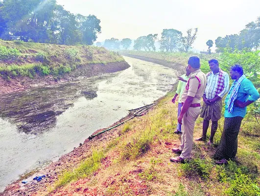 స్వల్పంగా పెరిగిన  నిమ్మ ధరలు 