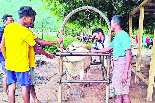 మూగవేదన