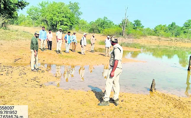 మానేరు దాటి.. భూపాలపల్లిలోకి పెద్ద పులి