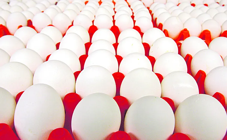 'ఎగ్‌'బాకింది  