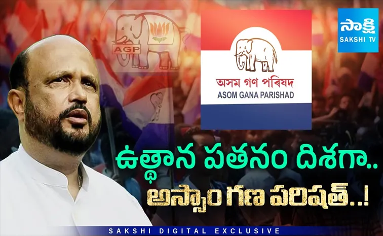 ఒక ఊపు ఊపిన  ఈ రాజకీయ పార్టీకి ఇప్పుడు ఏమైంది?