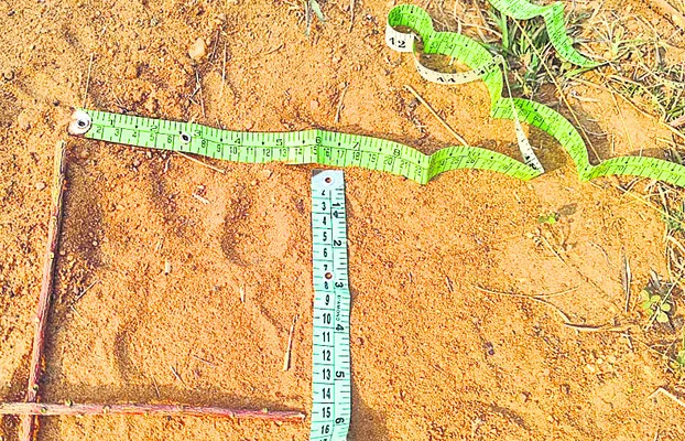 ఎల్లారం శివారులో పులి
