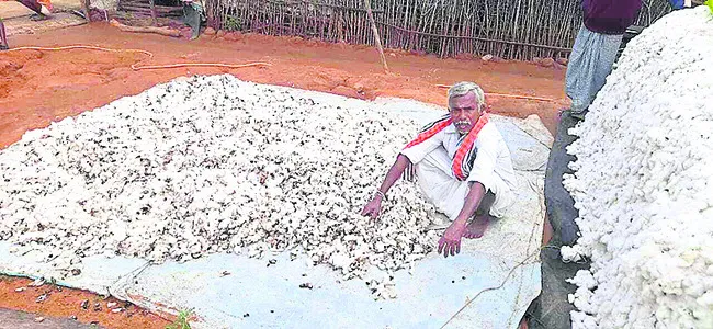 5 క్వింటాళ్ల పత్తి దగ్ధం
