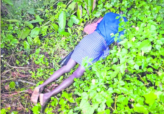 విద్యుదాఘాతానికి కౌలురైతు మృతి