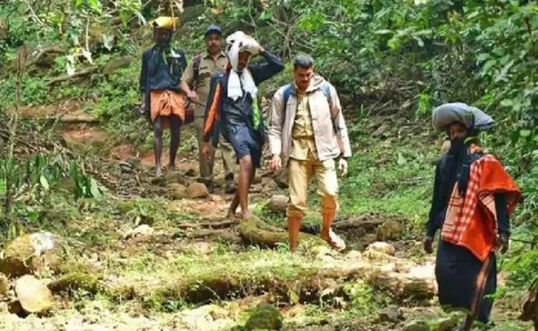 Sabarimala Yatra: Strict action against plastic in forest