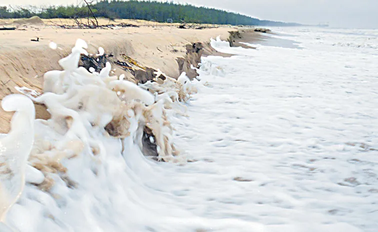 Moderate to heavy rains with scattered thunderstorms in Nellore and Tirupati districts