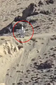Chinese spy robot patrolling near India China border see video