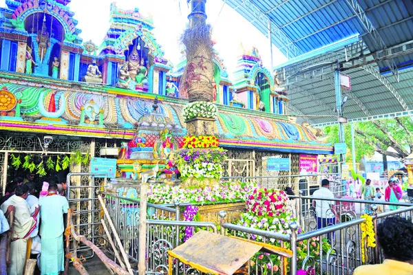 ముక్కోటికి ముస్తాబు 