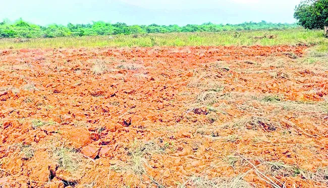 వెలగచర్లలో కూటమి నాయకుల భూకబ్జా