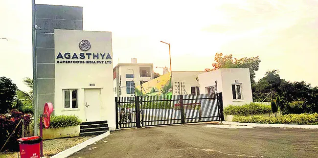 ఫుడ్‌ ప్రాసెసింగ్‌ పరిశ్రమ 