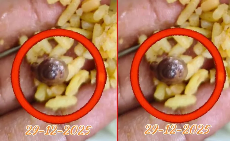 శ్రీ వరాహ లక్ష్మీనృసింహస్వామి దేవస్థానంలో పులిహోర ప్రసాదంలో నత్త కనిపించిన సంఘటన