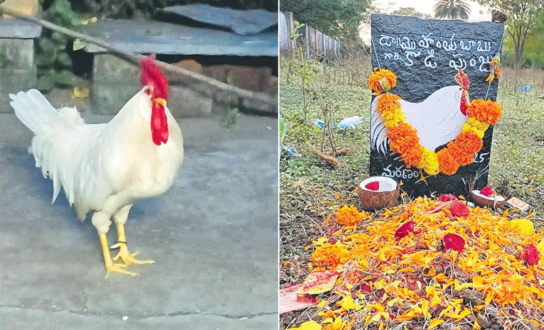 RMP doctor Vellpula Mehanth Babu and his family had been raising a chicken