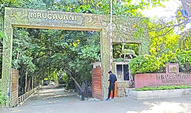 సంబరాలపై నిఘా 