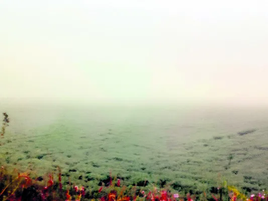 కలవర పెడుతున్న పొగమంచు 