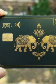 Premium Metal Credit Card by IDFC FIRST Bank