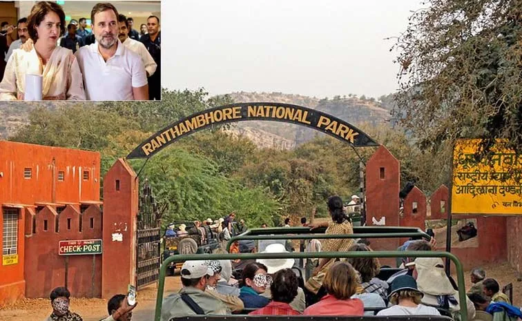 గాంధీ కుటుంబం మెచ్చే రణతంబోర్ నేషనల్ పార్క్..! అక్కడ న్యూ ఇయర్‌కి..
