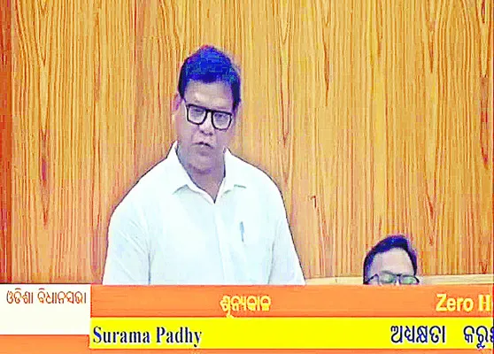 యువతకు ఉపాధి అవకాశాలు కల్పించండి