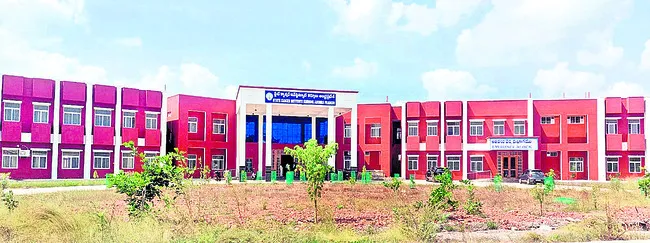 క్యాన్సర్‌ రోగులకు సంజీవని