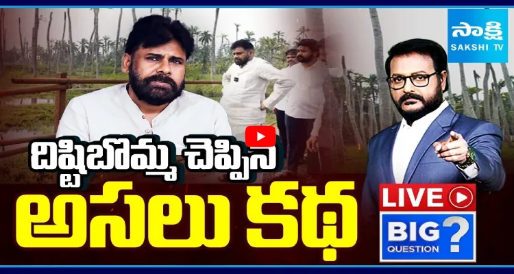 దిష్టిబొమ్మ చెప్పిన అసలు కథ