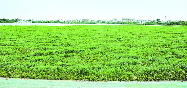 మురుగుకు స్వస్తి.. శుద్ధీకరణకు కుస్తీ