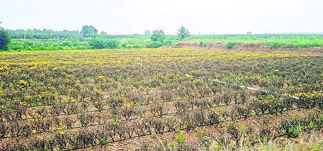 సమస్యలు పరిష్కారం కావడం లేదు : మంత్రి కేశవ్‌