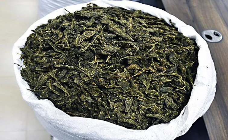 రూ.29 కోట్ల డ్రగ్స్‌ పట్టివేత 