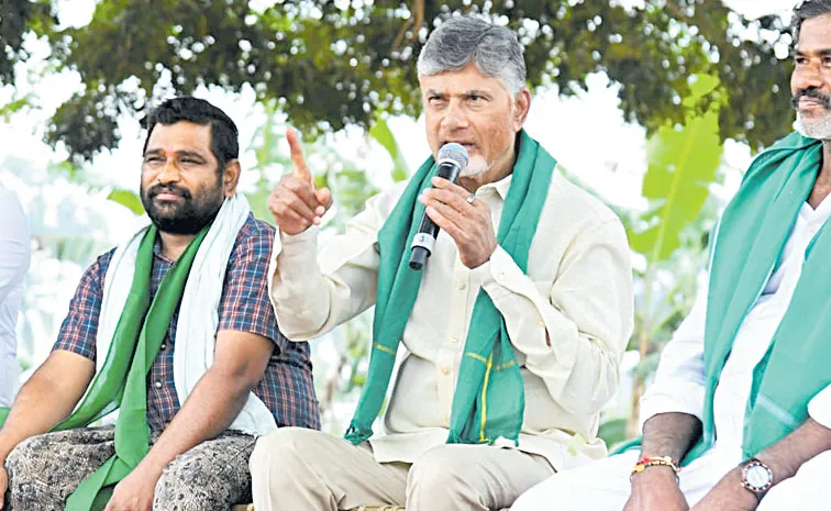 Chandrababu Naidu advises farmers to cultivate horticultural crops