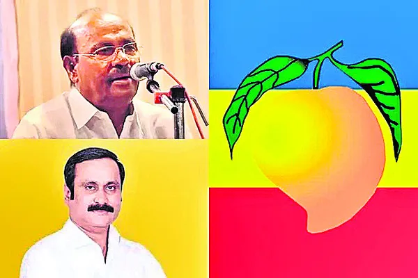 మామిడి గుర్తుపై సందిగ్ధం 