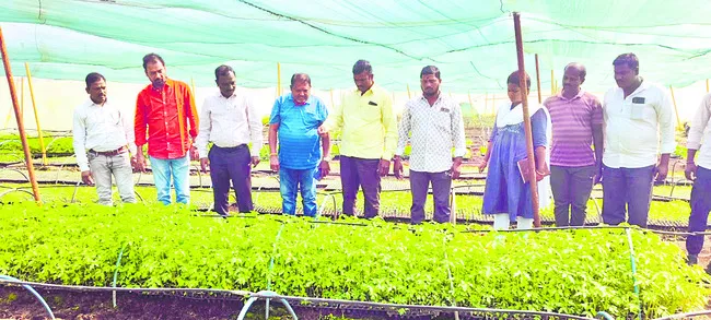 నాణ్యమైన నారు అందించాలి