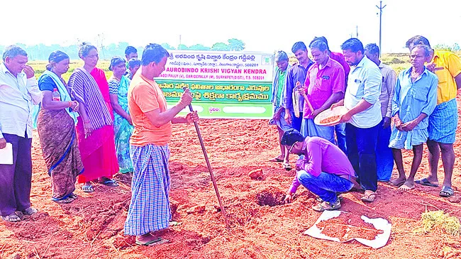 ఆరోగ్యకరమైన నేలలే భవిష్యత్తుకు పునాది