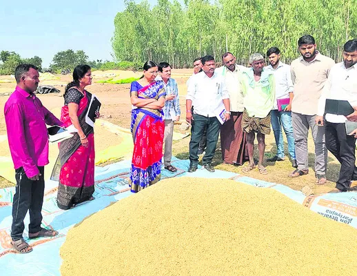 వైభవంగా దత్తజయంతి