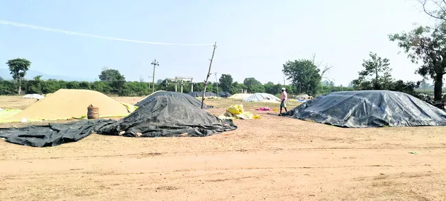 దొడ్డు వడ్లకు తిప్పలు