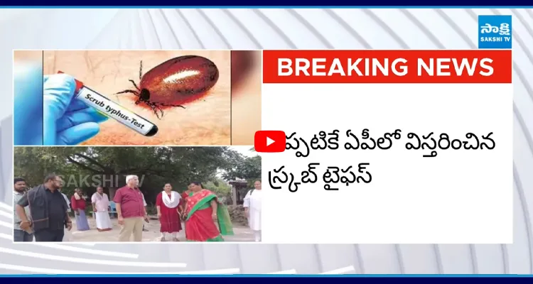 తెలంగాణలో స్క్రబ్ టైఫస్ టెన్షన్