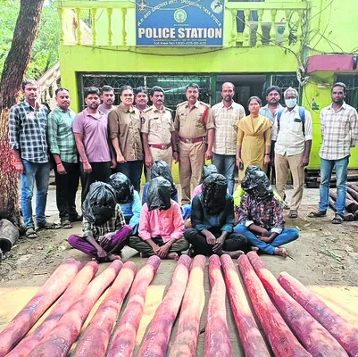 8 మంది ఎర్రచందనం స్మగ్లర్లు అరెస్ట్‌ 