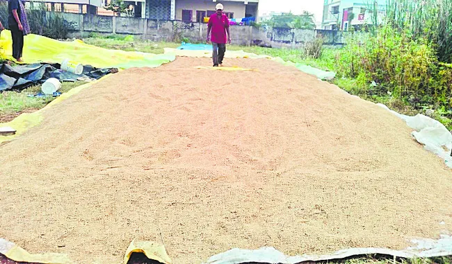 మోంథా, దిత్వా తుఫాన్‌ల ధాటికి వరి రైతులు తీవ్రంగా నష్టప