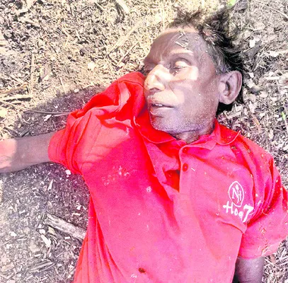 కుక్కల దాడిలో  గొర్రెల మృత్యువాత
