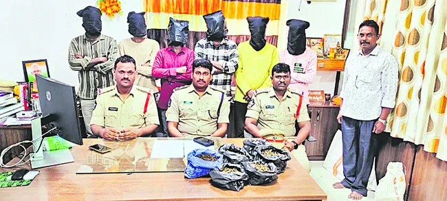 గంజాయి కేసులో ఆరుగురు అరెస్ట్‌ 